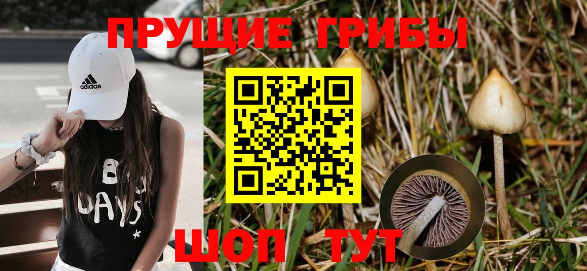 Галлюциногенные грибы ЛСД  Псилоцибиновые грибы GOLDEN TEACHER  Кудымкар  Вход с VPN 