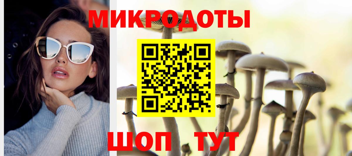 Галлюциногенные грибы Psilocybine cubensis Кудымкар